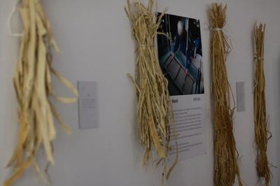 遇見和紙的無限可能 ZENA展覽展現(xiàn)紙張藝術(shù)的奇妙世界